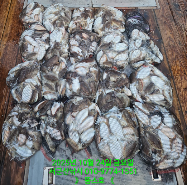 군산 선상낚시, 바다낚시 출조 전문 ☆서군산낚시☆_사진_20251024_3.jpg