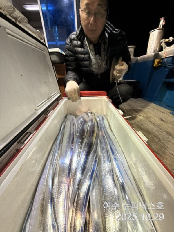 20910월29일갈치 (4).jpg