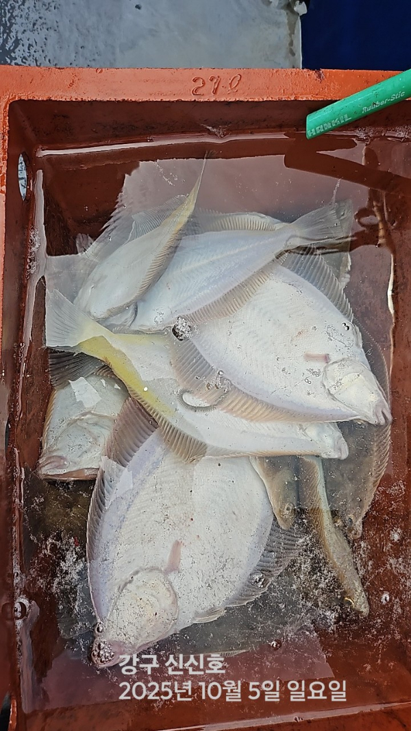 신신낚시 강구점 신신호_사진_20251005_15.jpg