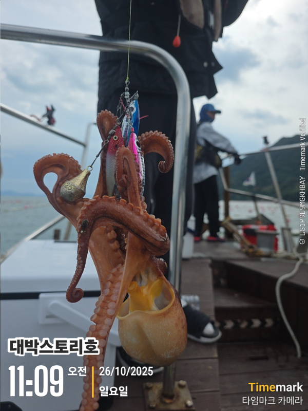 2025-10-26 11.10.00__(대박스토리호).jpg