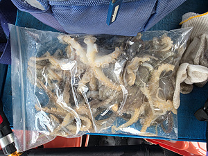 인천쭈꾸미낚시 (5).jpg