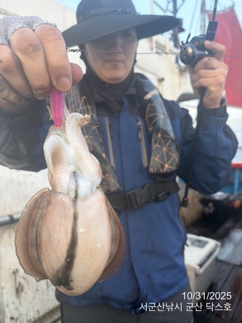 군산 선상낚시, 바다낚시 출조 전문 ☆서군산낚시☆_사진_20251031_14.jpg