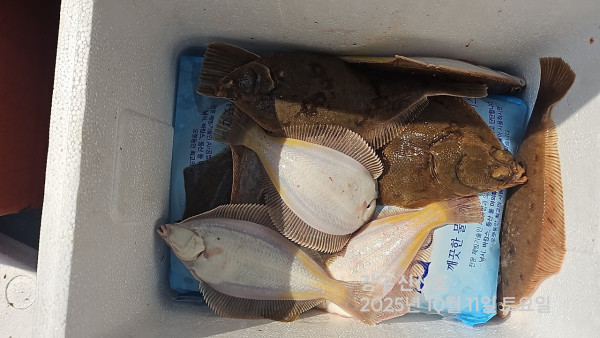 신신낚시 강구점 신신호_사진_20251012_8.jpg