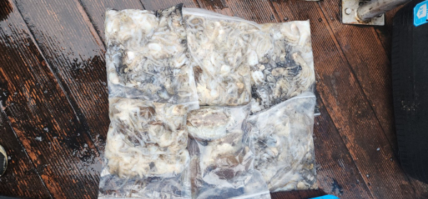 예지퀸호 농어외수질&어초낚시 경기인천권_사진_20251013_9.jpg