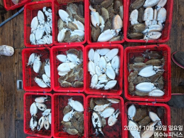 10월26일갑이 (2).jpg