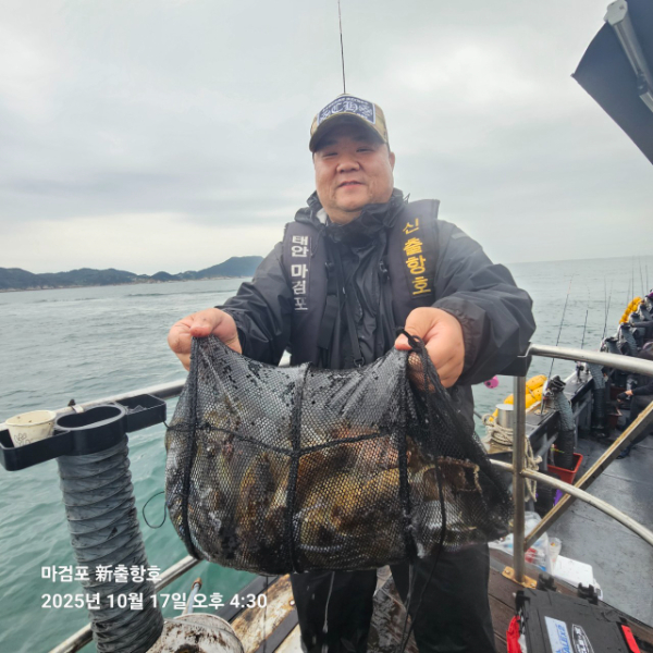 ꫛꫀꪝ✧‧˚ 태안 마검포 新출항호 .• _˚☀₊_사진_20251017_8.jpg