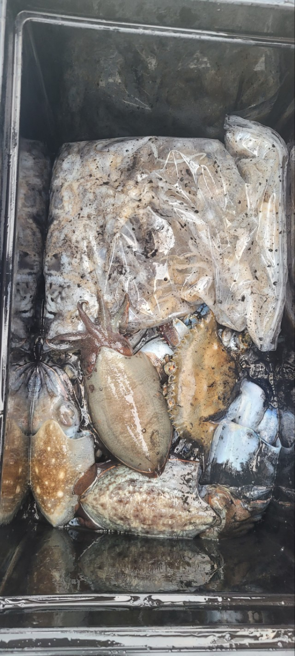 예지퀸호 농어외수질&어초낚시 경기인천권_사진_20251026_11.jpg