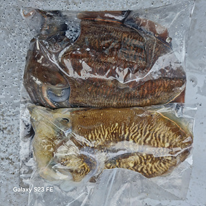 인천쭈꾸미낚시 (14).jpg