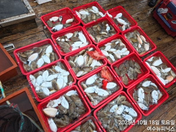10월18일갑오징어 (37).jpg