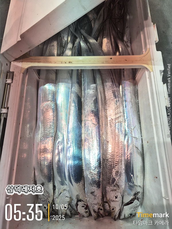 2025-10-05 05.35.37_.jpg