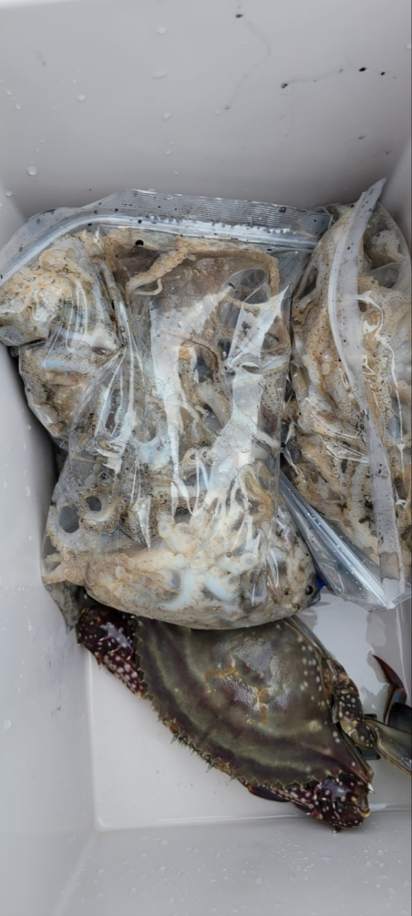 예지퀸호 농어외수질&어초낚시 경기인천권_사진_20251016_12.jpg