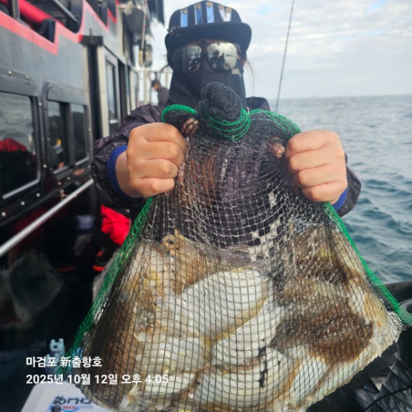 ꫛꫀꪝ✧‧˚ 태안 마검포 新출항호 .• _˚☀₊_사진_20251013_10.jpg