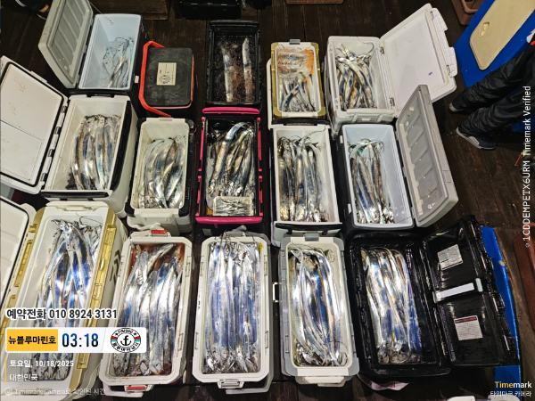 2025-10-18 03.18.08_대한민국_(제목-뉴블루마린호)_(예약전화 010 8924 3131).jpg