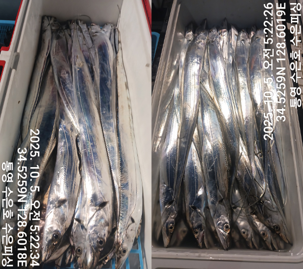 1759613537008-tile.jpg