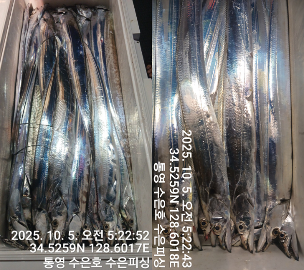 1759613536926-tile.jpg