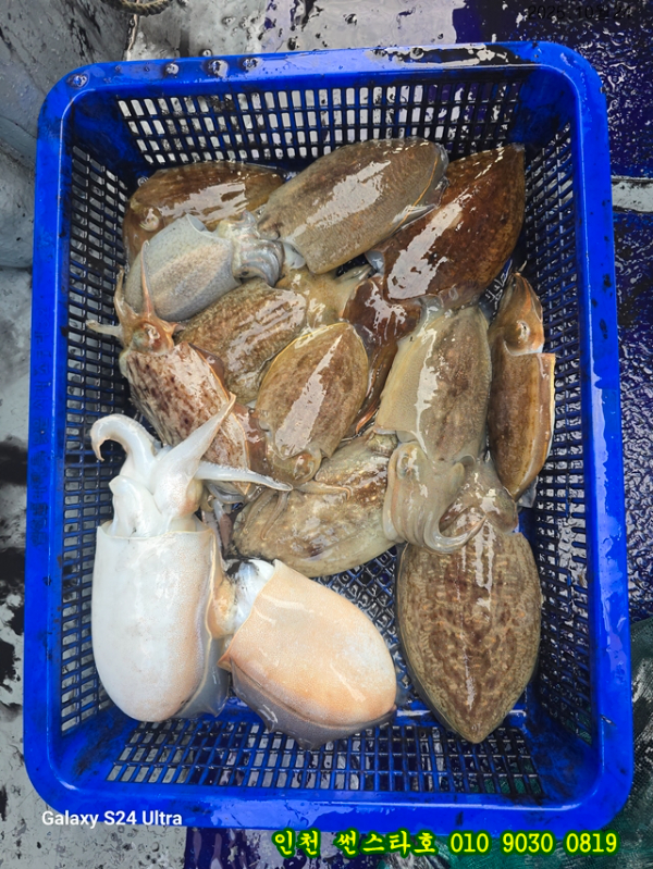 10월24 썬 (16).jpg