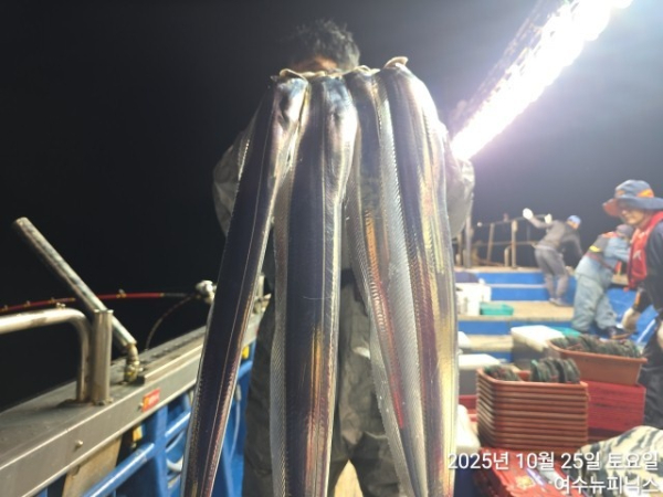 10월26일갈치 (5).jpg