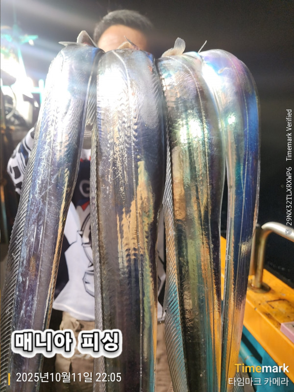 KakaoTalk_20251012_070613870.jpg