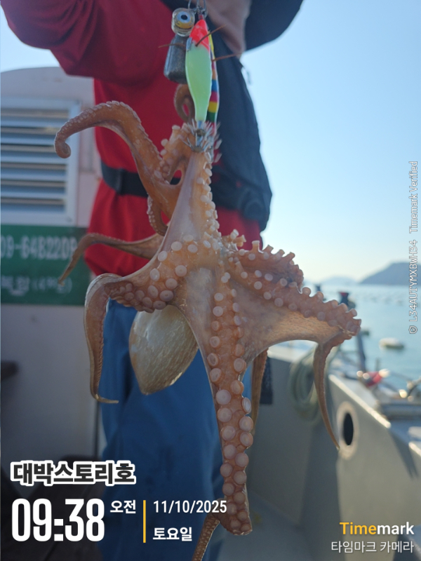 2025-10-11 09.38.24__(대박스토리호).jpg