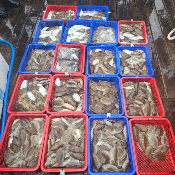 마검포 대한호(VIP)_사진_20251012_2.jpg