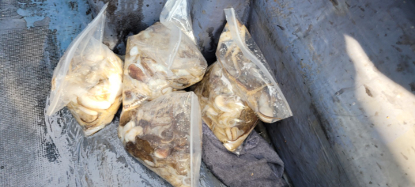 예지퀸호 농어외수질&어초낚시 경기인천권_사진_20251001_13.jpg