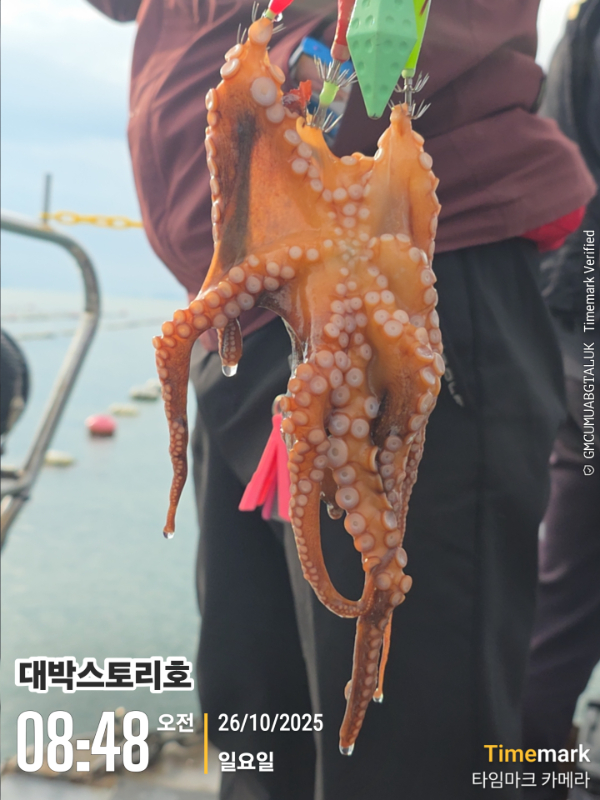 2025-10-26 08.48.24__(대박스토리호).jpg