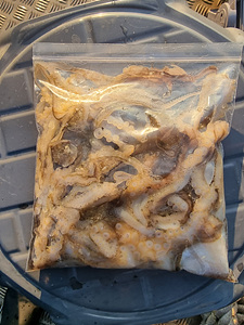 인천쭈꾸미낚시 (16).jpg