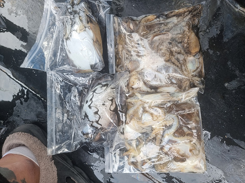 인천쭈꾸미낚시 (7).jpg