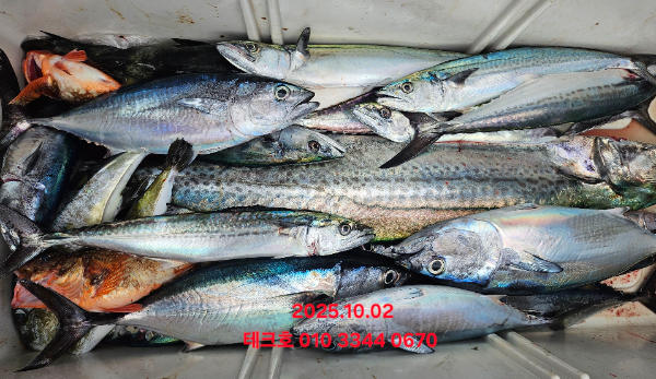 KakaoTalk_20251002_194826519_19.jpg