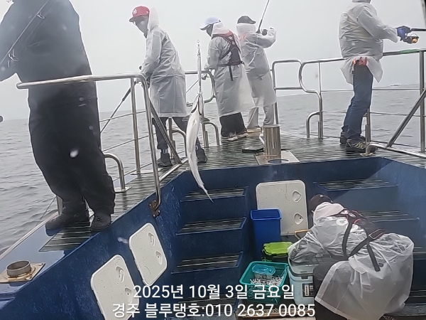 20251003_082500.jpg