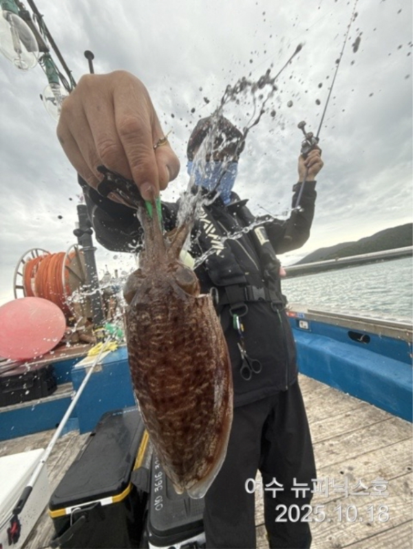 큰10월18일갑오징어 (35).jpg
