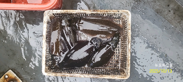 DateCamera1013093341.jpg