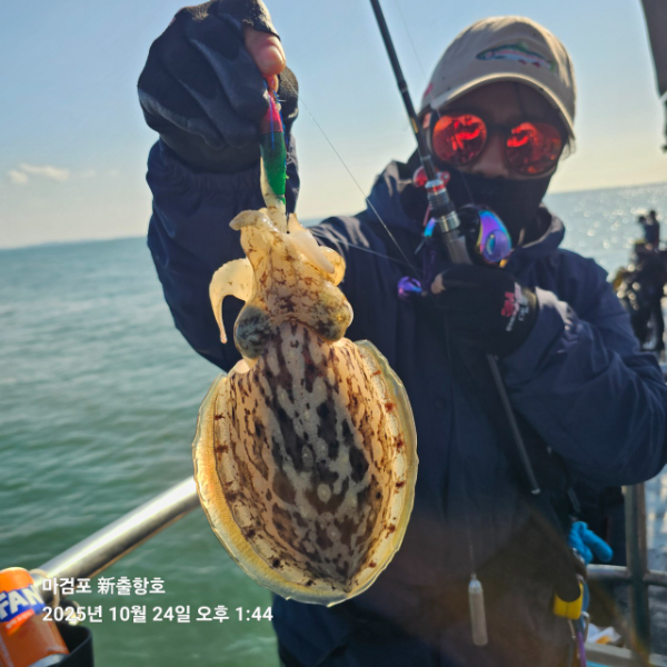 ꫛꫀꪝ✧‧˚ 태안 마검포 新출항호 .• _˚☀₊_사진_20251024_2.jpg