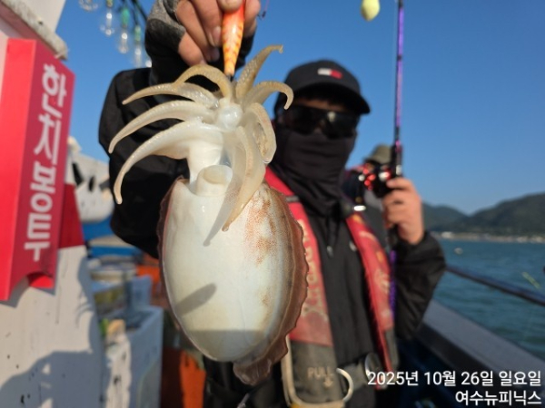 10월26일갑이 (3).jpg