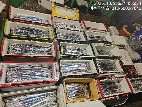 KakaoTalk_20251002_144303273_13.jpg