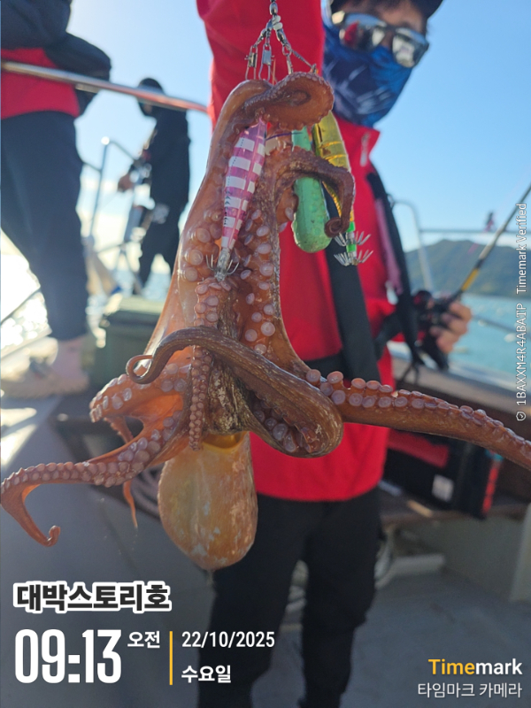 2025-10-22 09.13.43__(대박스토리호).jpg