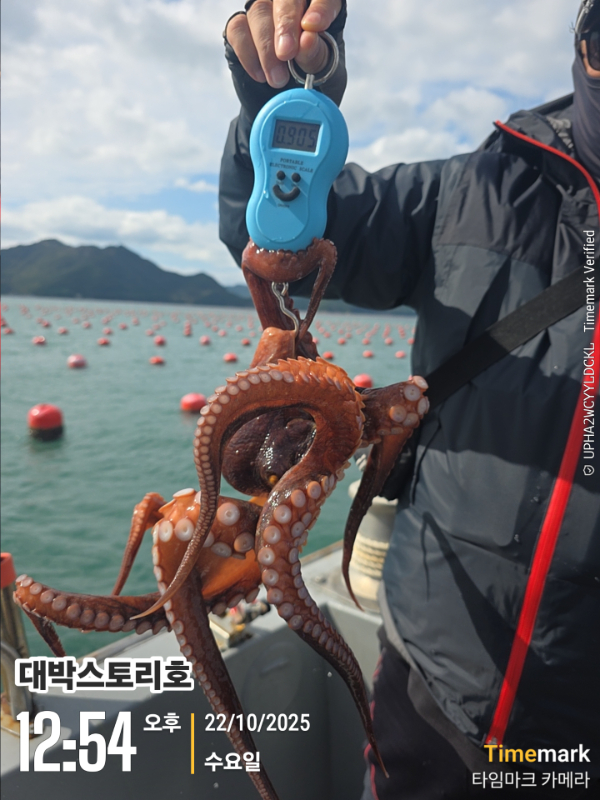 2025-10-22 12.54.29__(대박스토리호).jpg