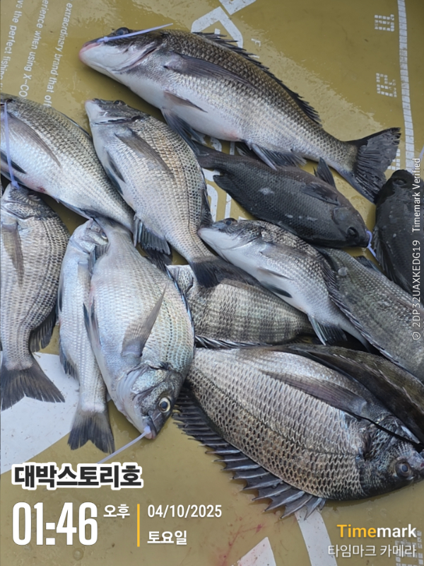 2025-10-04 01.46.13__(대박스토리호).jpg