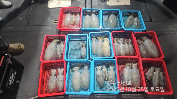 신신낚시 강구점 신신호_사진_20251026_12.jpg