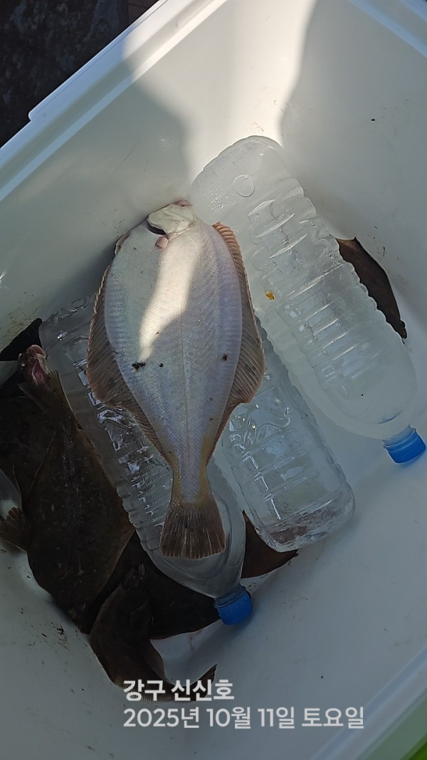 신신낚시 강구점 신신호_사진_20251012_13.jpg