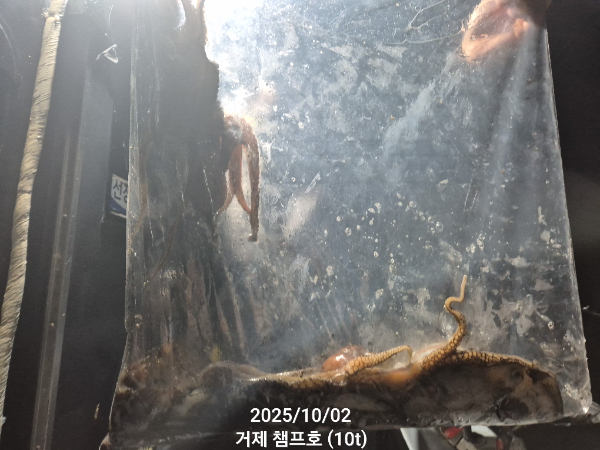 1000024670.jpg