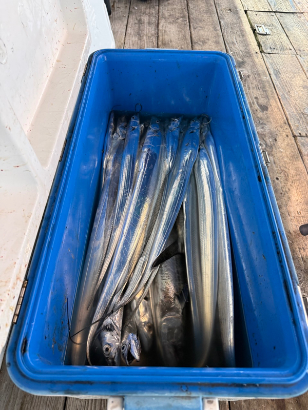 제주 쏘니호_사진_20251007_13.jpg