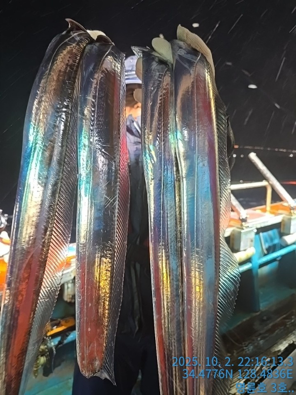 KakaoTalk_20251003_075728339_03.jpg