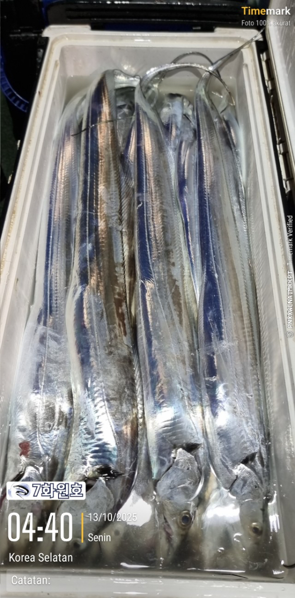 제주갈치낚시 화원호_사진_20251013_7.jpg