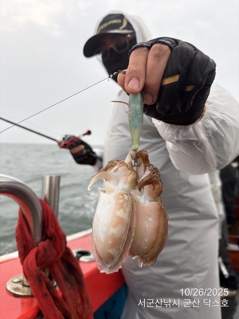 군산 선상낚시, 바다낚시 출조 전문 ☆서군산낚시☆_사진_20251026_4.jpg