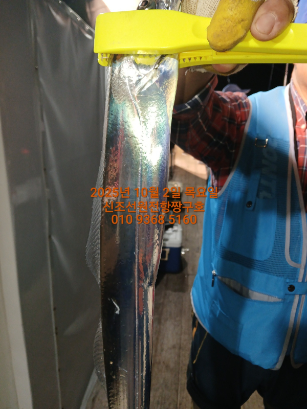 KakaoTalk_20251003_041329807_19.jpg