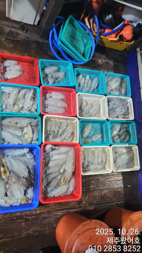 제주왔어호_사진_20251027_1.jpg