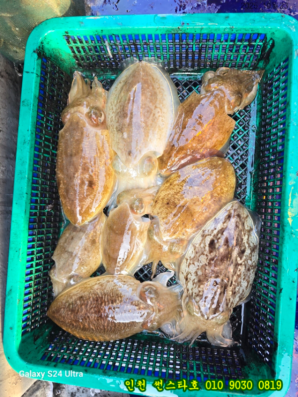 10월23 썬 (13).jpg