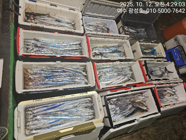 KakaoTalk_20251012_123507046_09.jpg