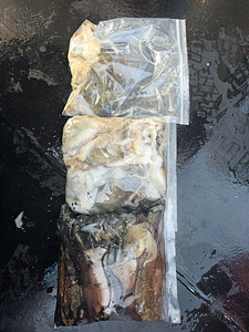 인천쭈꾸미조황 (7).jpg